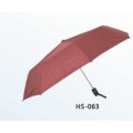 Автоматический открытый и закрытый складной зонтик (HS-063)